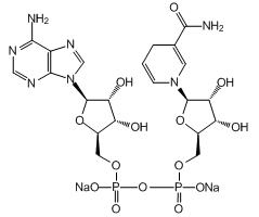 β-Nicotinamide adenine dinucleotide disodium salt, 98%, reduced|302449|606-68-8
