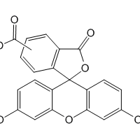 5(6)-Carboxyfluorescein, 97%|258764|72088-94-9