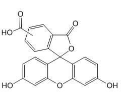 5(6)-Carboxyfluorescein, 97%|258764|72088-94-9