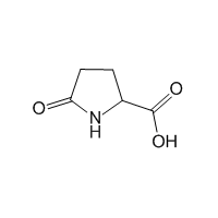 DL-Pyroglutamic acid|CS-W013454|149-87-1