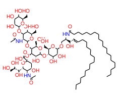 Monosialoganglioside GM1, 95%|308307|37758-47-7