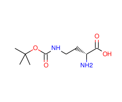 H-D-Dab(Boc)-OH|CPTD788054|114360-55-3