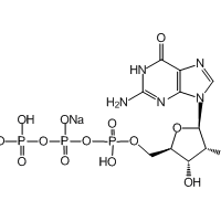 Guanosine-5'-triphosphate (disodium salt)|CS-W011453|56001-37-7