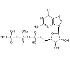 Guanosine-5'-triphosphate (disodium salt)|CS-W011453|56001-37-7
