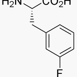 3-Fluoro-L-phenylalanine|02571|19883-77-3