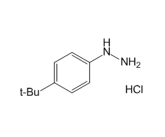 4-tert-Butylphenylhydrazine hydrochloride, 98%|310879|36600-66-5
