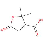 2,2-Dimethyl-5-oxotetrahydrofuran-3-carboxylic acid|CS-0119874|79-91-4