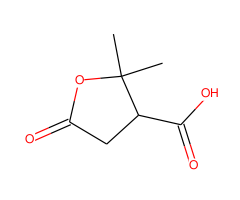 2,2-Dimethyl-5-oxotetrahydrofuran-3-carboxylic acid|CS-0119874|79-91-4