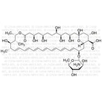 Amphotericin B|00329|1397-89-3