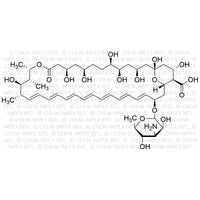 Amphotericin B|00329|1397-89-3