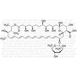 Amphotericin B|00329|1397-89-3