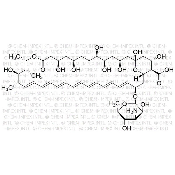 Amphotericin B|00329|1397-89-3