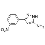 5-(3-Nitrophenyl)-2H-pyrazol-3-ylamine|17725|142338-69-0