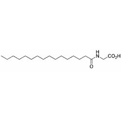 Palmitoyl-glycine|07116|2441-41-0