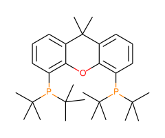 9,9-Dimethyl-4,5-bis(di-t-butylphosphino)xanthene, min. 97% t-Bu-XANTPHOS