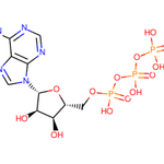 ATP|CS-7674|56-65-5