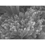 Polydiacetylene nanotube (PDNT-12-8-22Br)|06-1060