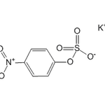 Potassium p-nitrophenyl sulfate|CS-W010170|6217-68-1