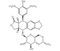Etoposide, 98%, reagent, for R&D, inhibits DNA synthesis by forming a complex with topoisomerase II and DNA|320523|33419-42-0