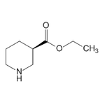 Ethyl (R)-nipecotate|CS-W019699|25137-01-3