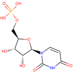 Uridine 5'-monophosphate|CS-0022391|58-97-9