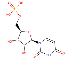 Uridine 5'-monophosphate|CS-0022391|58-97-9