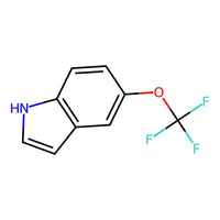 5-(Trifluoromethoxy)-1H-indole|CS-W022264|262593-63-5
