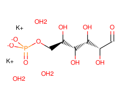 D-Glucose-6-phosphate dipotassium salt trihydrate, 99%|326880|207727-36-4