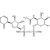 Uridine-5'-diphospho-N-acetylglucosamine sodium salt, 95%|963290|91183-98-1