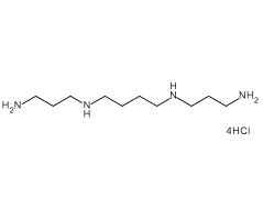 Spermine tetrahydrochloride, 98%|327664|306-67-2