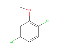 1,4-Dichloro-2-methoxybenzene|CS-W005884|1984-58-3
