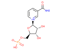 β-Nicotinamide mononucleotide, 98%|978692|1094-61-7