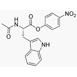 Na-Acetyl-L-tryptophan 4-nitrophenyl ester|03265|14009-92-8