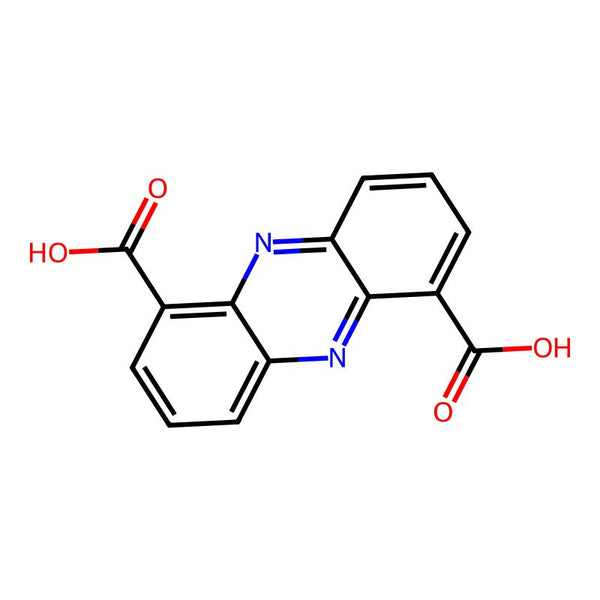Phenazine-1,6-dicarboxylic acid|CS-0187850|23462-25-1