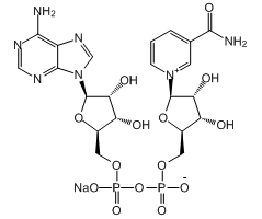 β-Nicotinamide adenine dinucleotide, 98%|341773|53-84-9