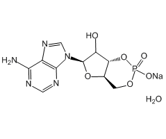 Adenosine 3',5'-cyclic monophosphate sodium salt, 98%|342903|37839-81-9