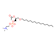 3-O-Hexadecyl-2-O-acetyl-sn-glycero-1-phosphocholine|CPTD785783|117985-57-6