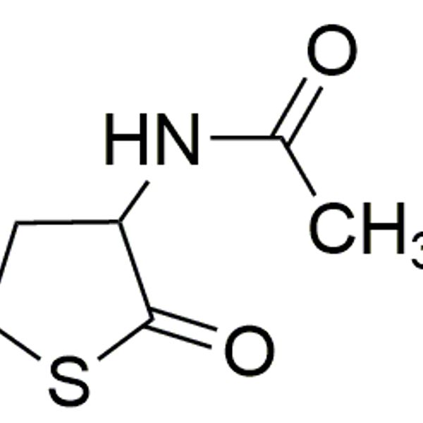 DL-N-Acetylhomocysteine thiolactone|37216|1195-16-0