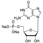 Guanosine-5'-monophosphate disodium salt|00160|5550-12-9