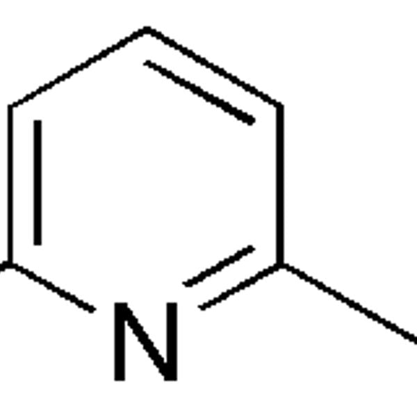 6-Methyl-2-pyridinemethanamine|17766|6627-60-7