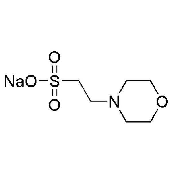 2-(N-Morpholino)ethanesulfonic acid sodium salt|00352|71119-23-8