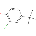 4-Tert-butyl-2-chlorophenol|CS-0144872|98-28-2