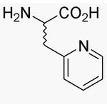 3-(2'-Pyridyl)-DL-alanine|06213|17407-44-2