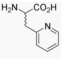 3-(2'-Pyridyl)-DL-alanine|06213|17407-44-2