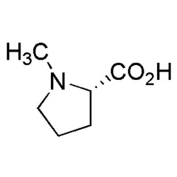 N-Methyl-L-proline|06356|475-11-6