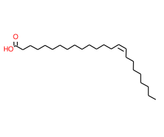 Nervonic acid|C3D-5971|506-37-6