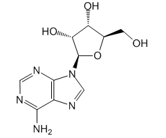 Adenosine, 99%|132283|58-61-7