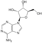 Adenosine|CS-2176|58-61-7