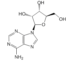 Adenosine, 99%|132283|58-61-7