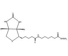 ​(+)-Biotinamidohexanoic acid hydrazide, 93%|933280|109276-34-8